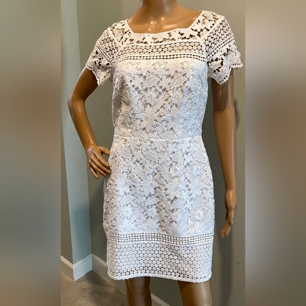 Beautiful Club Monaco Kayette Lace Dress Size 4   New With Tags